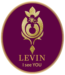 LEVIN - I SEE YOU LTD
